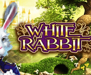 White Rabbit